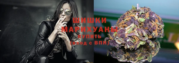 молекула духа Пересвет