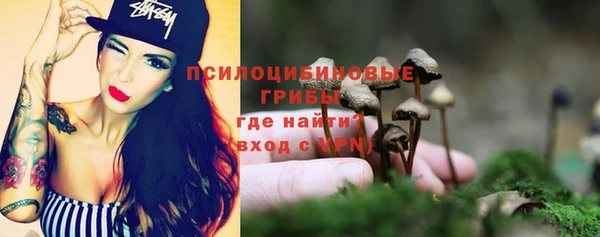 молекула духа Белоозёрский