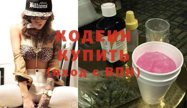 сатива Покачи