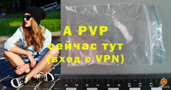молекула духа Пересвет