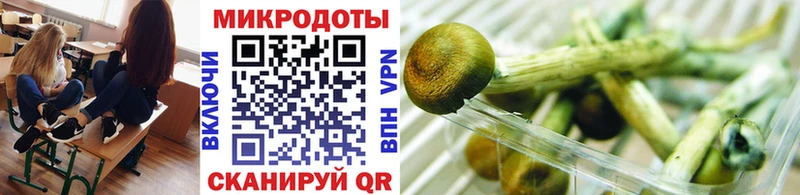 Галлюциногенные грибы Psilocybine cubensis  закладка  Новоалександровск 